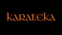 Karateka Classic Review | Arcade Sushi