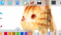 Vita Getting Paint Park Plus, Toro’s Friend Network Apps
