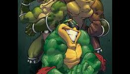 Nintendo Memories: Battletoads