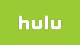 3DS Nintendo Network ID And Hulu Coming This Year?