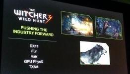The Witcher 3 will support GPU PhysX, now officially