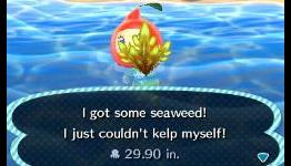 Animal Crossing: New Leaf Diary – Fishing, Friends And Fun