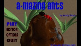 From Our Backyard ‘Amazing Ants’