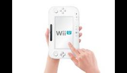 Pachter Says “Why Would Anybody Buy A Wii U?”