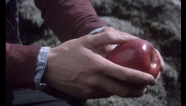 What message do you think Samsung is trying to convey in its Icelandic advertisement?