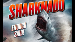 Sharknado Review | Best Horror Movies