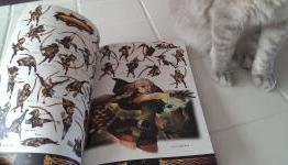 Unboxing With Cats: Dragon’s Crown games and artbook