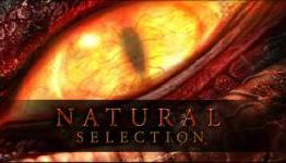Natural Selection 2 Build 251: Now with Queued Orders