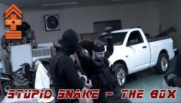 Stupid Snake – The Box