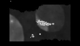 Nine Over Ten – Hero of Many (iOS) Game Review