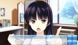 Review: If My Heart Had Wings | Japanator