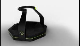 A Step Into the Virtual World with Omni