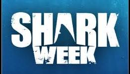Shark Week Schedule: Sink Your Teeth Into It