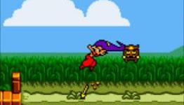 Shantae (Nintendo 3DS eShop) Review | Mini Fortress