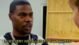 In Honor of Shark Week – Five Great Videogame Sharks
