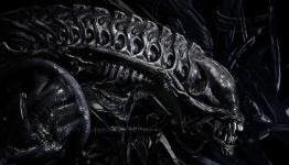 Creative Assembly’s Aliens Game Not Cancelled