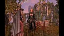 The Elder Scrolls Online, or: How I Learned to Stop Worrying and Love the Console MMO