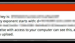 New Browser Tool Claims to Reveal MEGA Users’ Master Key