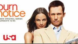 Part 1 OF 6: TV Shows That Deserve Games – Burn Notice
