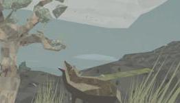 Might and Delight says hard copy of Shelter-based children’s book “definitely not impossible”
