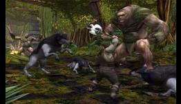Top Five AAA MMOs That Went F2P