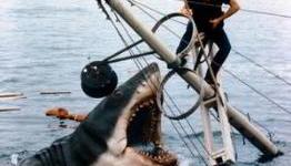 15 Best Shark Movies of All Time
