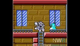 NWR – Wario Land 3 Review