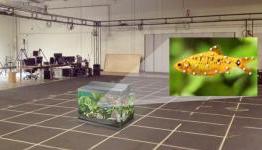 Ghosts, Dogs, And Fish: The Story Behind The Memes