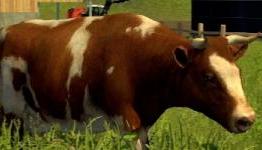 Review: Farming Simulator 2013 (DarkZero)