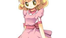 Natsume Reveals the Marriage Candidates of Hometown Story