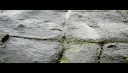 Tropes vs Rocks? Yes Its Happening