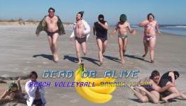 Dead or Alive: Beach Volleyball Banana Island