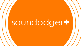Pixelvolt – Soundodger+ Review