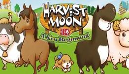 Harvest Moon: A New Beginning: Money won’t make you happy