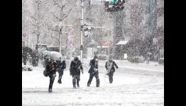 Top 10 Snow Levels