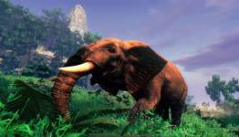 Cabela’s African Adventures Review (BioGamer Girl)