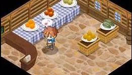 USGamer- Hometown Story Review