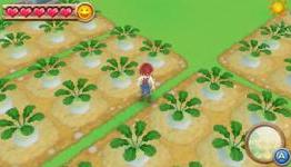 Harvest Moon: A New Beginning Review-TGH
