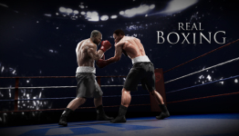 Real Boxing Review {Critically Sane}