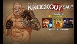 PS Vita gets discounts for fighting games, only in USA