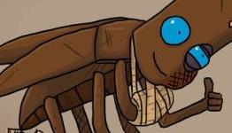 Journey of a Roach – Review (AATG)