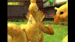 Awesome Animals in Games | GameGrin