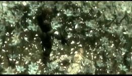 Metal Gear Solid 3: A retrospective