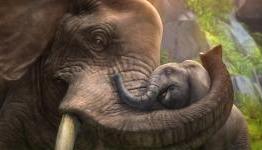 Zoo Tycoon: How Microsoft is Helping Real Life Animals
