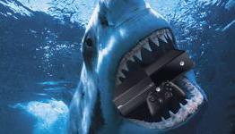 First Xbox Hurdle: Survive The Shark Tank