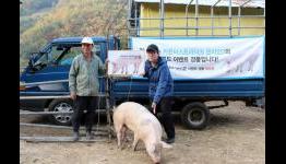 Here’s the Counter-Strike Player Who Won a Real Pig