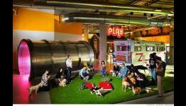 “Ethical Considerations? Absolutely, It’s Why I Quit” Former Zynga Programmer Shares His Experience