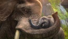 Zoo Tycoon Review | XXLGaming