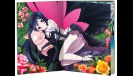 Accel World Set 1 hits North America next week with an art book