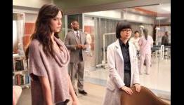 Odette Annable to Boss Around Walden on Two and a Half Men